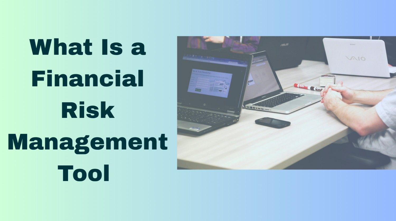 financial risk management tool